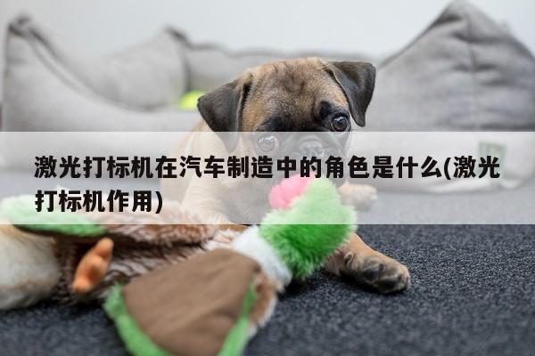 激光打标机在汽车制造中的角色是什么(激光打标机作用)|ayx爱游戏