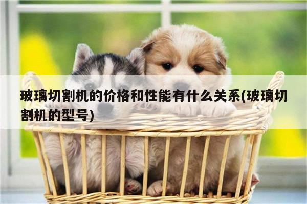 【ayx爱游戏】玻璃切割机的价格和性能有什么关系(玻璃切割机