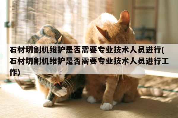 爱游戏(ayx)官方网站_石材切割机维护是否需要专业技术人员