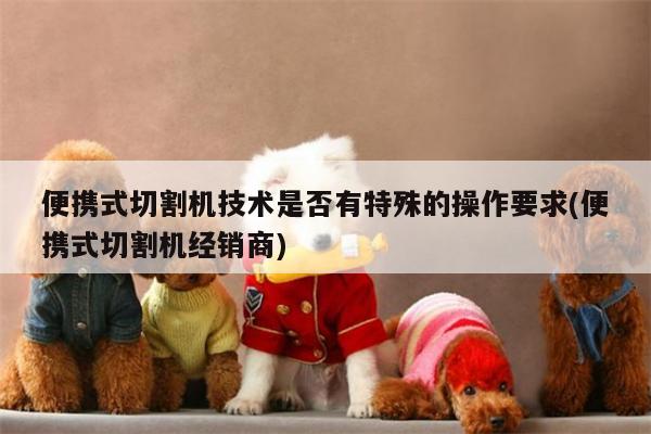 ayx爱游戏|便携式切割机技术是否有特殊的操作要求(便携式切