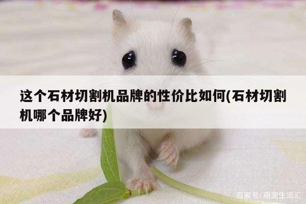 这个石材切割机品牌的性价比如何(石材切割机哪个品牌好)_爱游