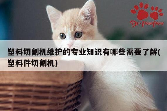 【ayx爱游戏】塑料切割机维护的专业知识有哪些需要了解(塑料