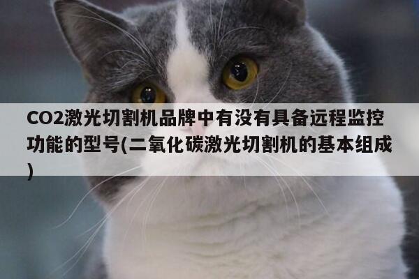 CO2激光切割机品牌中有没有具备远程监控功能的型号(二氧化碳