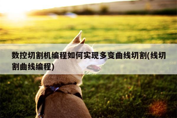 数控切割机编程如何实现多变曲线切割(线切割曲线编程)：ayx