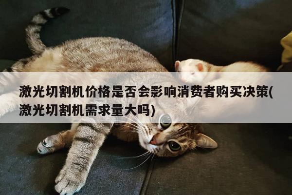 爱游戏(ayx)官方网站：激光切割机价格是否会影响消费者购买