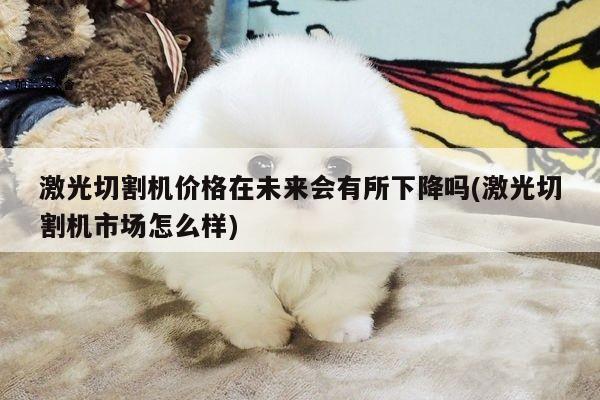 激光切割机价格在未来会有所下降吗(激光切割机市场怎么样)-a
