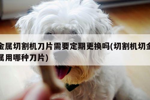 【爱游戏(ayx)官方网站】金属切割机刀片需要定期更换吗(切