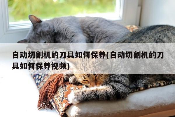自动切割机的刀具如何保养(自动切割机的刀具如何保养视频)_爱
