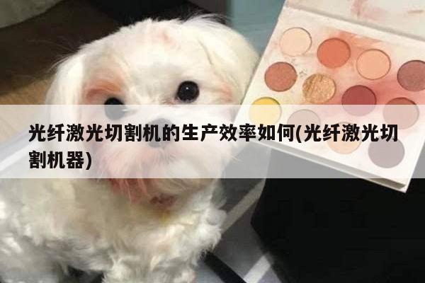 光纤激光切割机的生产效率如何(光纤激光切割机器)|ayx爱游