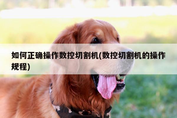 ayx爱游戏：如何正确操作数控切割机(数控切割机的操作规程)
