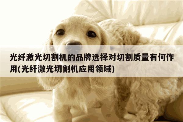 爱游戏平台：光纤激光切割机的品牌选择对切割质量有何作用(光纤