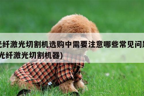 【爱游戏平台】光纤激光切割机选购中需要注意哪些常见问题(光纤