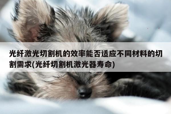 光纤激光切割机的效率能否适应不同材料的切割需求(光纤切割机激