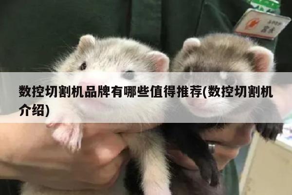 【爱游戏平台】数控切割机品牌有哪些值得推荐(数控切割机介绍)