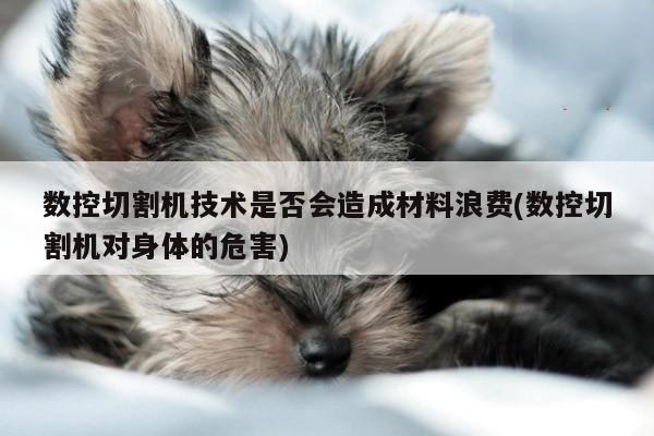 爱游戏(ayx)官方网站-数控切割机技术是否会造成材料浪费(