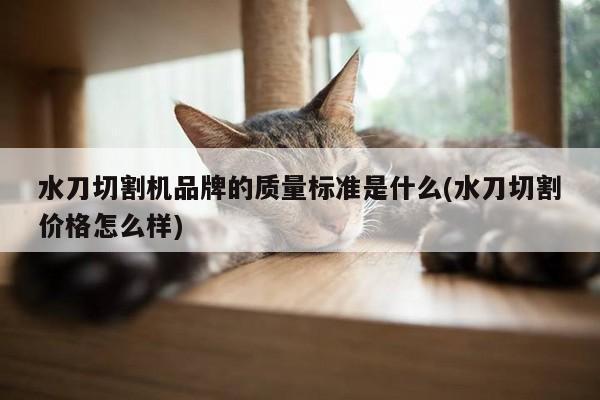 爱游戏(ayx)官方网站：水刀切割机品牌的质量标准是什么(水