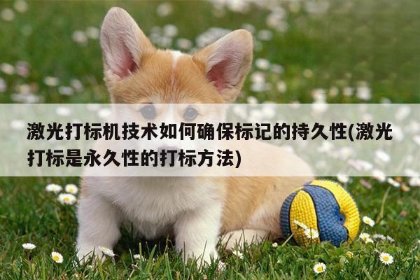 ayx爱游戏：激光打标机技术如何确保标记的持久性(激光打标是