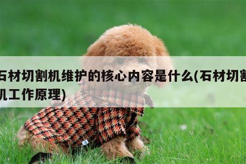 爱游戏app_石材切割机维护的核心内容是什么(石材切割机工作