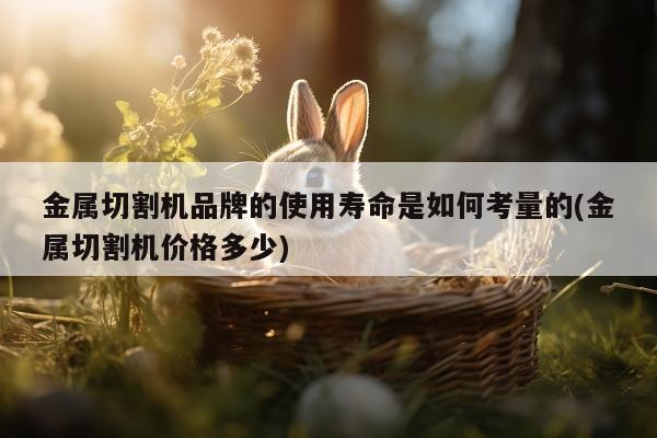 金属切割机品牌的使用寿命是如何考量的(金属切割机价格多少)：