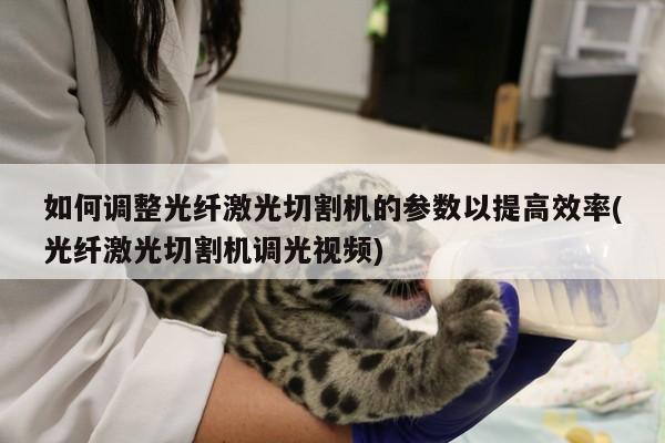 爱游戏平台-如何调整光纤激光切割机的参数以提高效率(光纤激光