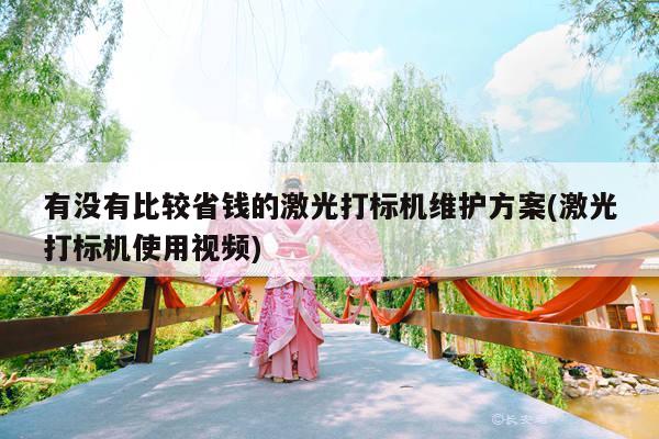 爱游戏app_有没有比较省钱的激光打标机维护方案(激光打标机