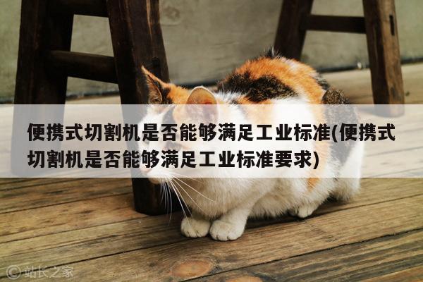 便携式切割机是否能够满足工业标准(便携式切割机是否能够满足工