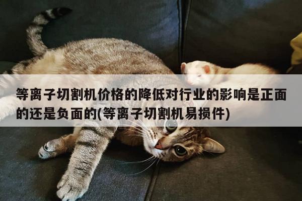 爱游戏平台_等离子切割机价格的降低对行业的影响是正面的还是负