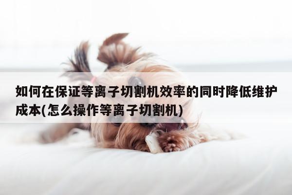 如何在保证等离子切割机效率的同时降低维护成本(怎么操作等离子切割机)：爱游戏ap