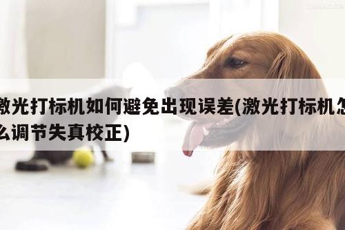 激光打标机如何避免出现误差(激光打标机怎么调节失真校正)：a