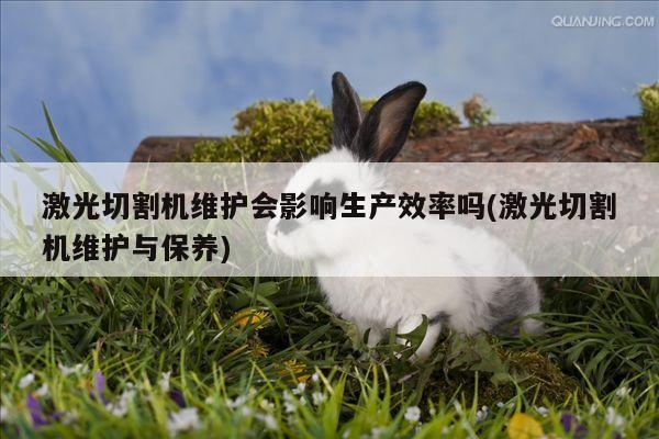 爱游戏平台-激光切割机维护会影响生产效率吗(激光切割机维护与