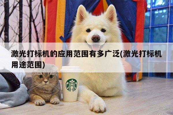 爱游戏(ayx)官方网站_激光打标机的应用范围有多广泛(激光