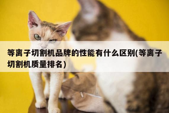 【爱游戏(ayx)官方网站】等离子切割机品牌的性能有什么区别