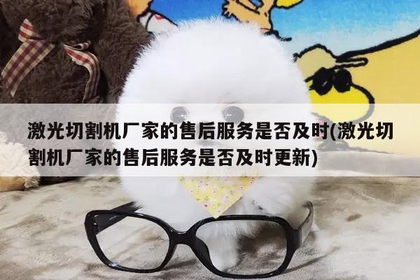 激光切割机厂家的售后服务是否及时(激光切割机厂家的售后服务是