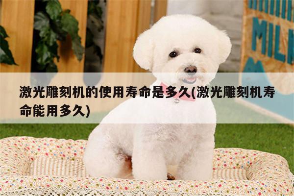 爱游戏平台_激光雕刻机的使用寿命是多久(激光雕刻机寿命能用多