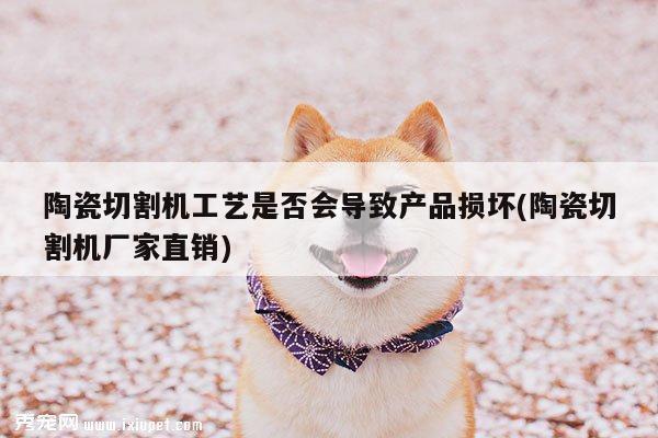 【爱游戏(ayx)官方网站】陶瓷切割机工艺是否会导致产品损坏