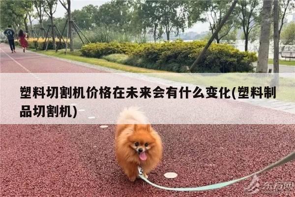 爱游戏平台-塑料切割机价格在未来会有什么变化(塑料制品切割机