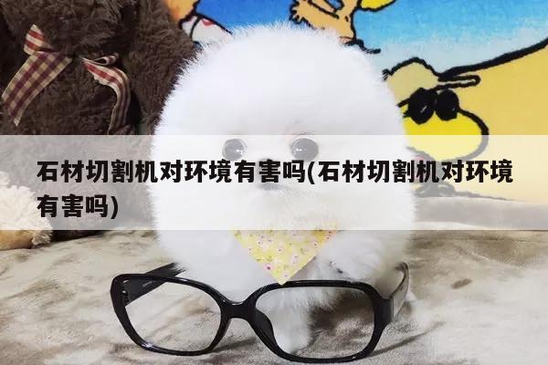 石材切割机对环境有害吗(石材切割机对环境有害吗)-爱游戏平台