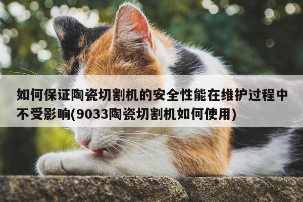 如何保证陶瓷切割机的安全性能在维护过程中不受影响(9033陶