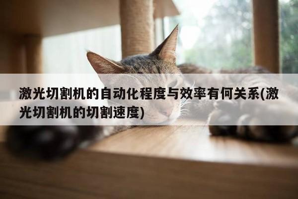 ayx爱游戏：激光切割机的自动化程度与效率有何关系(激光切割