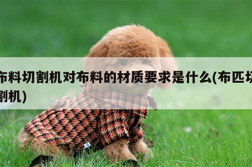 布料切割机对布料的材质要求是什么(布匹切割机)【ayx爱游戏