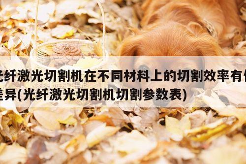 光纤激光切割机在不同材料上的切割效率有何差异(光纤激光切割机