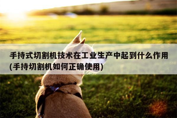 手持式切割机技术在工业生产中起到什么作用(手持切割机如何正确