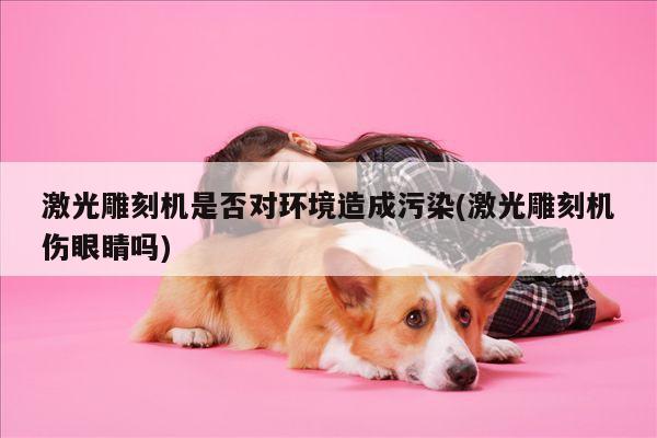 爱游戏app：激光雕刻机是否对环境造成污染(激光雕刻机伤眼睛