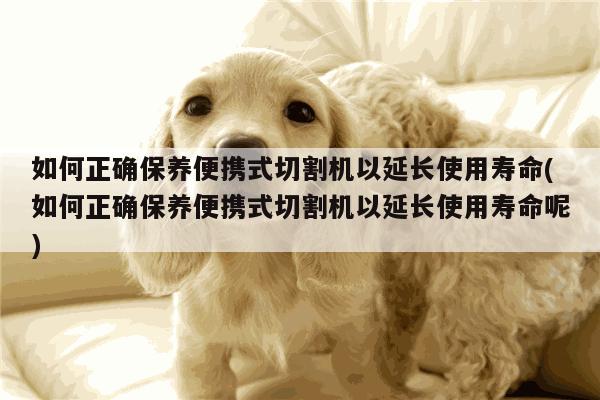 如何正确保养便携式切割机以延长使用寿命(如何正确保养便携式切割机以延长使用寿命呢