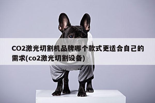 爱游戏平台-CO2激光切割机品牌哪个款式更适合自己的需求(co2激光切割设备)