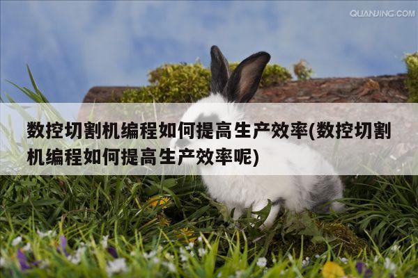 数控切割机编程如何提高生产效率(数控切割机编程如何提高生产效率呢)：爱游戏app