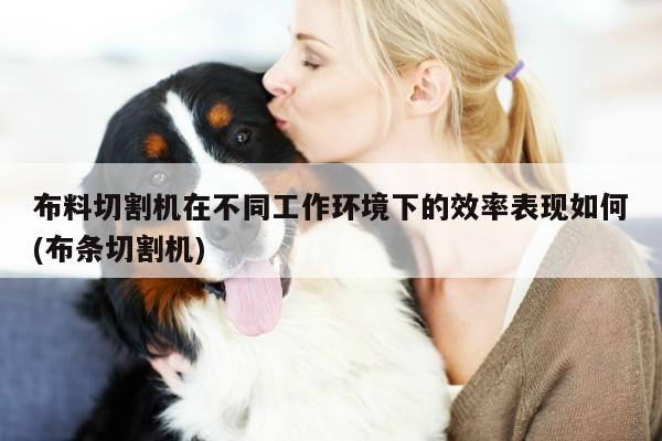 布料切割机在不同工作环境下的效率表现如何(布条切割机)：ayx爱游戏