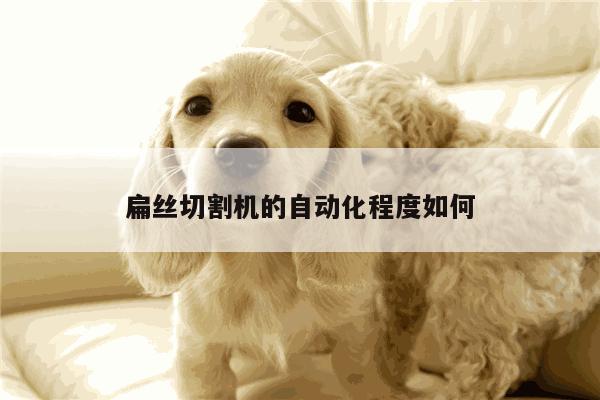 扁丝切割机的自动化程度如何|爱游戏(ayx)官方网站