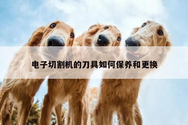 ayx爱游戏：电子切割机的刀具如何保养和更换