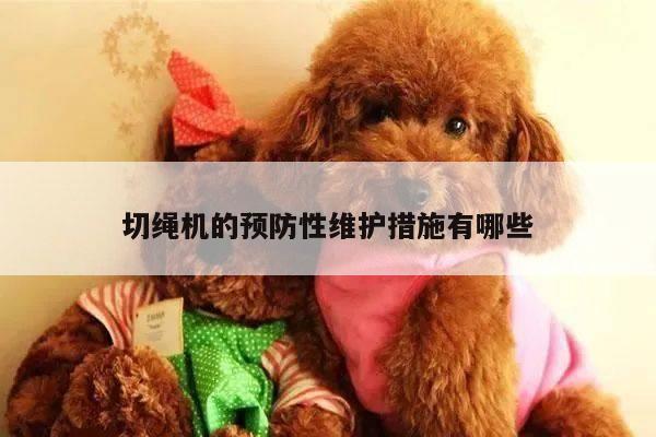 切绳机的预防性维护措施有哪些：爱游戏平台